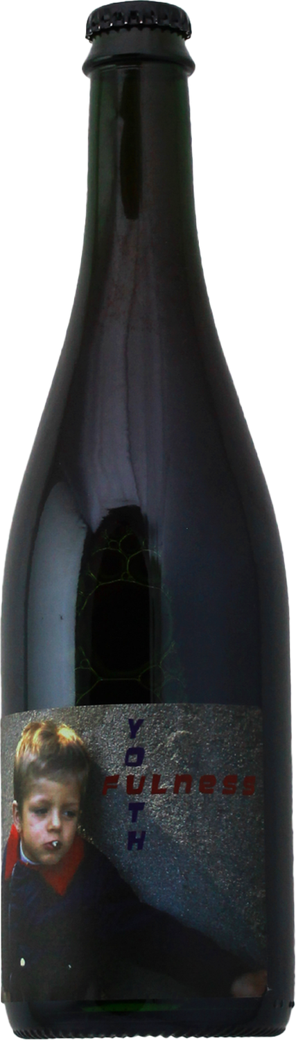Benoit Rosenberger - 2020 'Youthfulness' Gamay d'Auvergne