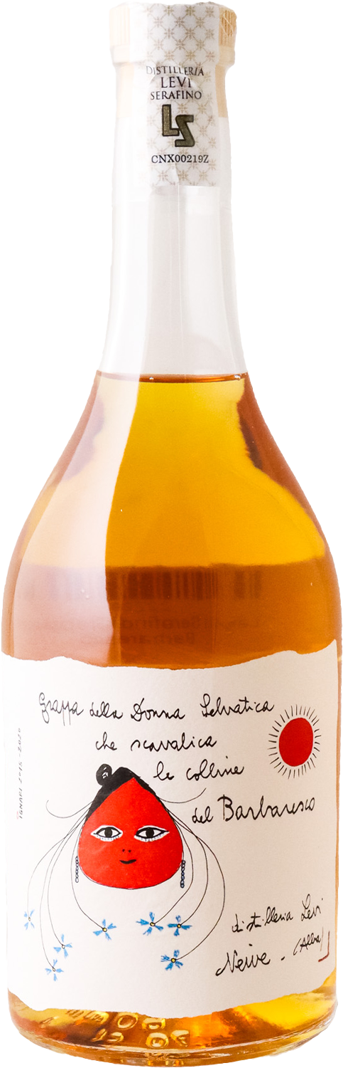 Levi Serafino Grappa - Barbaresco
