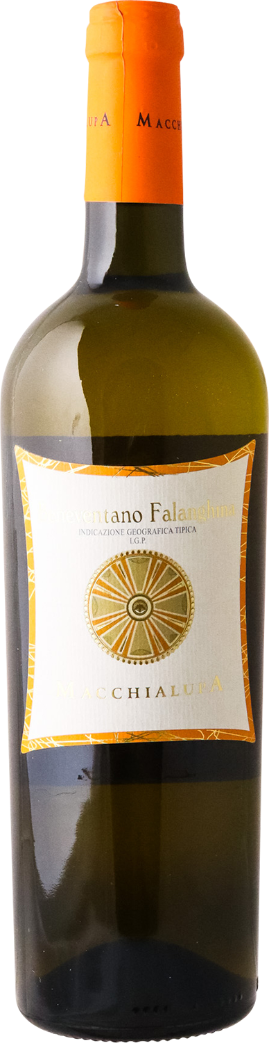 Macchialupa- 2023 Falanghina