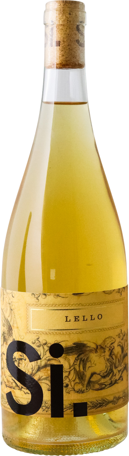 Si Vintners - 2023 Lello Skin contact Sauvignon Blanc