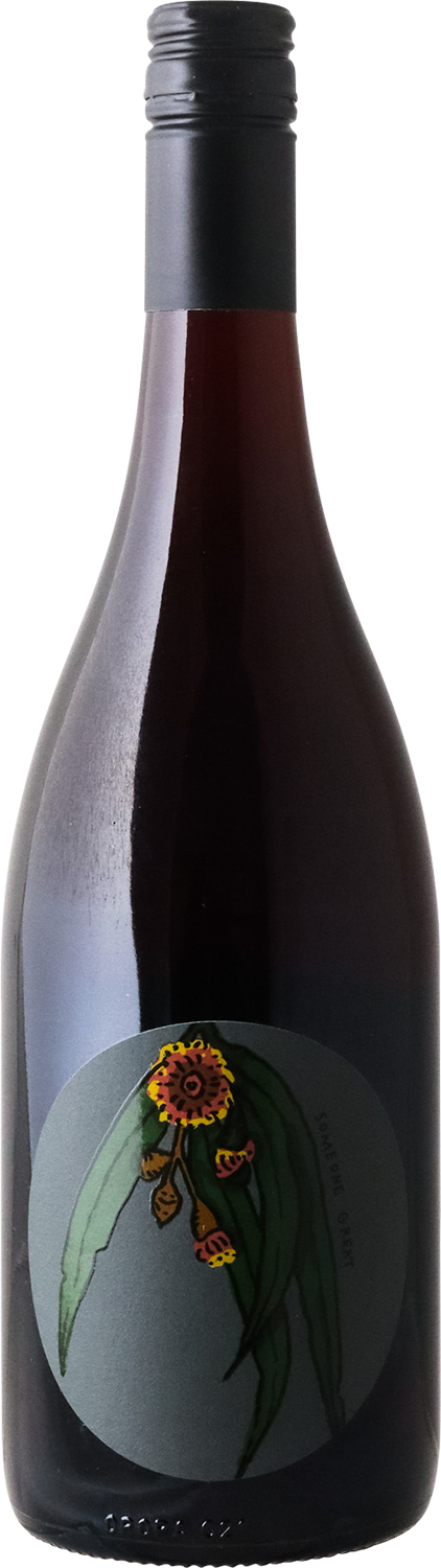Worlds Apart - 2024 Someone Great Grenache