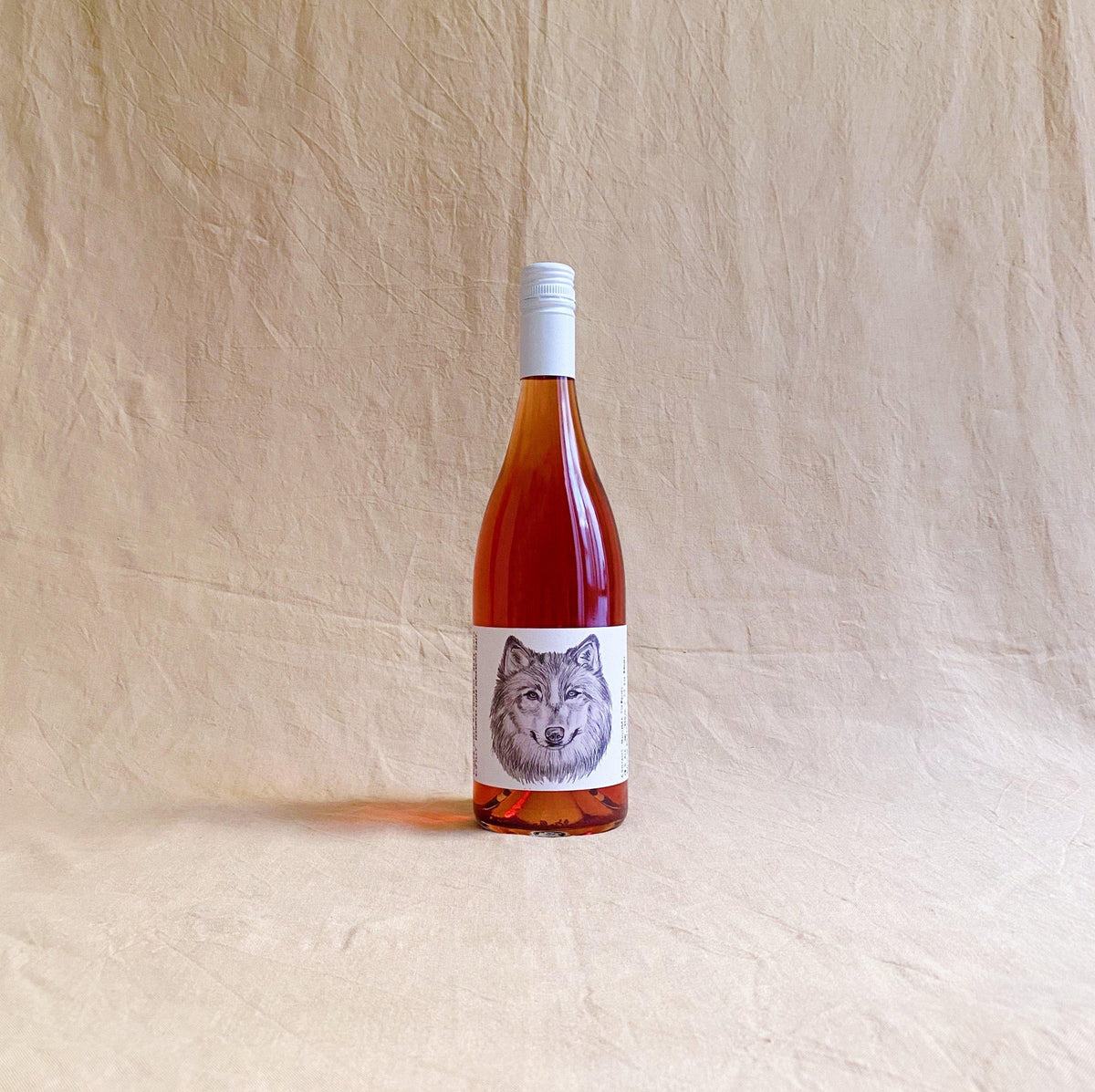 Jilly White Wolf of Cumbria Rose