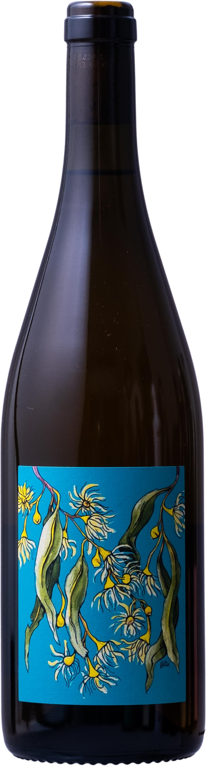 Borachio - 2021 Savagnin