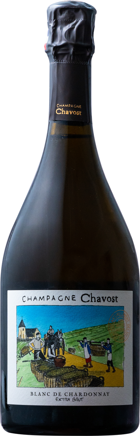 Champagne Chavost - NV Blanc de Chardonnay Extra Brut
