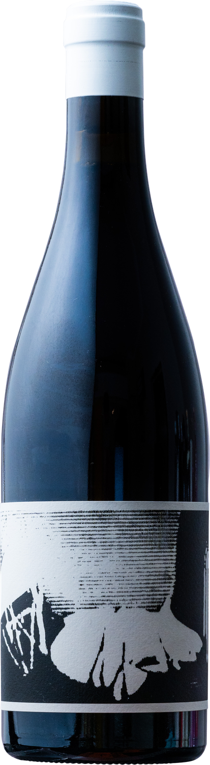 Ochota Barrels - 2022 Impeccable Pinot Noir