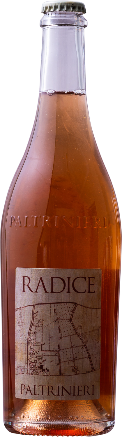 Paltrinieri - NV Lambrusco di Sorbara Radice NV