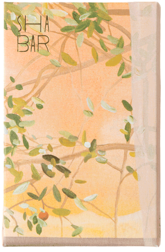 Shabar - Prae Candied Orange Chocolate