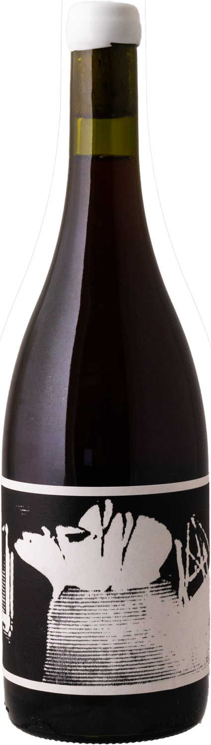 Ochota Barrels - 2023 Impeccable Disorder Pinot Noir