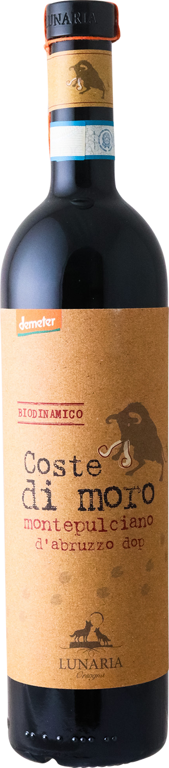 Cantina Orsogna - 2020 Coste di Moro Montepulciano