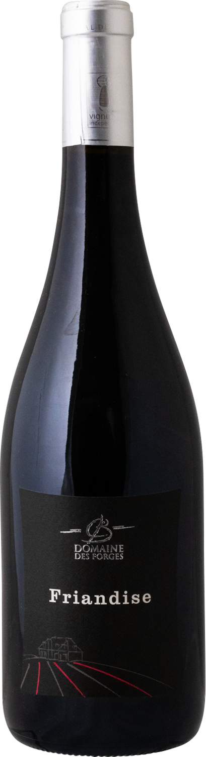 Domaine Des Forges - 2022 Friandise Gamay