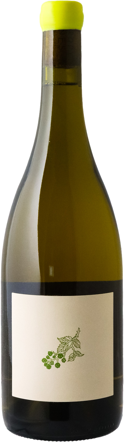 Entropy - 2023 Willow Grove Savagnin