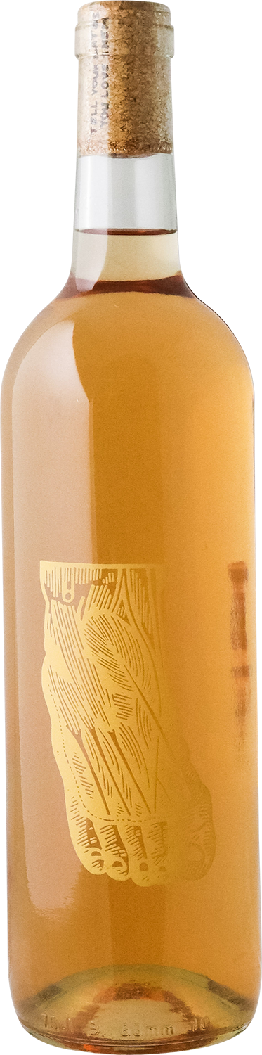 FIN - 2025 Speedo Gris