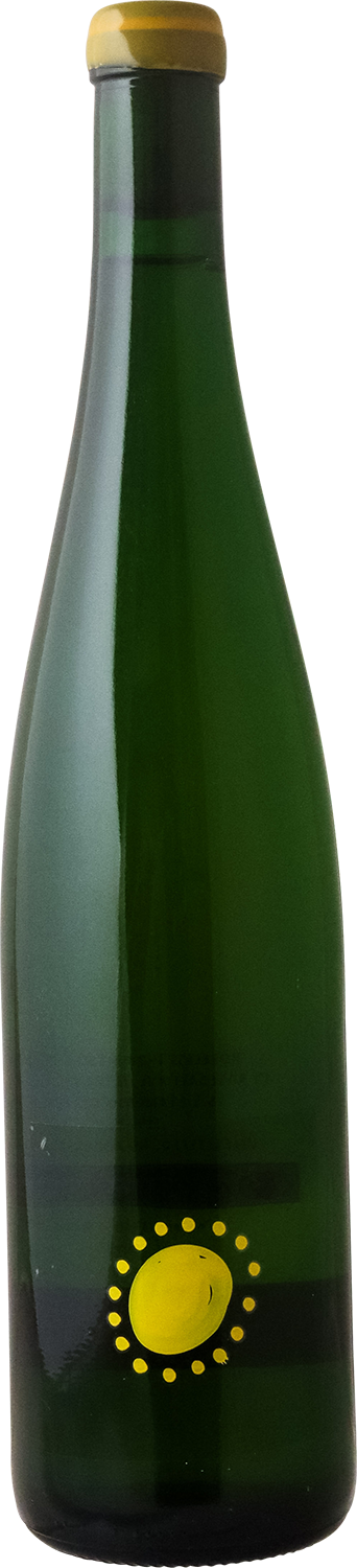 Hopeless Thoughtful - 2024 Leisure Coast