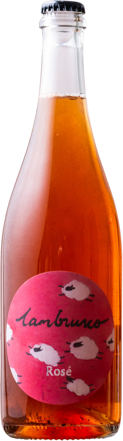 I'll Fly Away - 2023 Lambrusco Rose