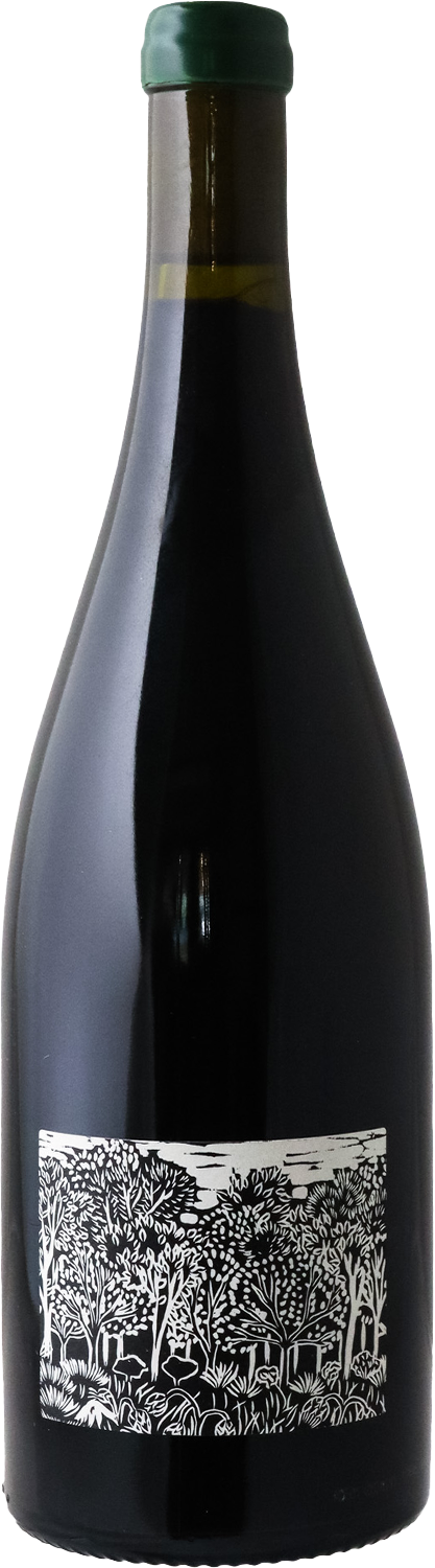 Joshua Cooper - 2023 Blanche Barkley Old Vine Shiraz