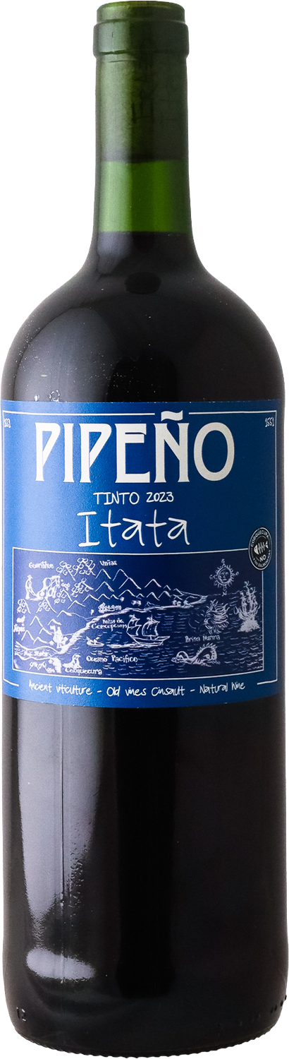 Leonardo Erazo - 2023 Bravos Pipeno Tinto 1L