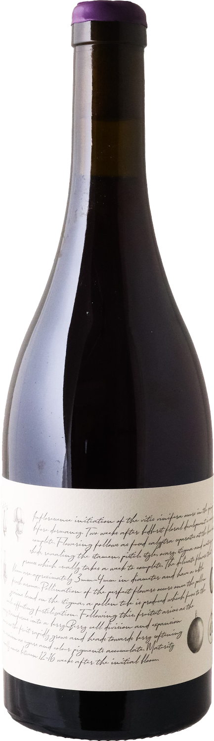 M&J Becker - 2023 ‘Tumbarumba’ Pinot Noir