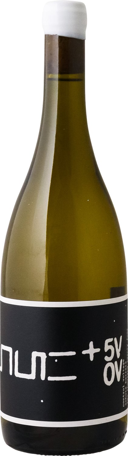 Ochota Barrels - 2024 Control Voltage Chardonnay