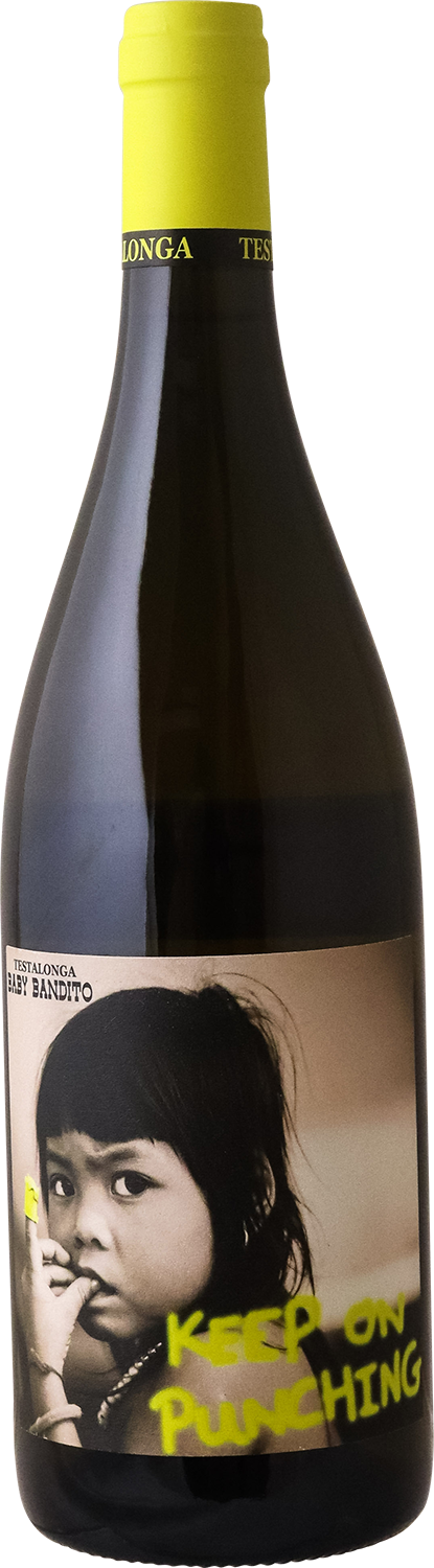 Testalonga - 2024 Baby Bandito 'Keep on Punching'