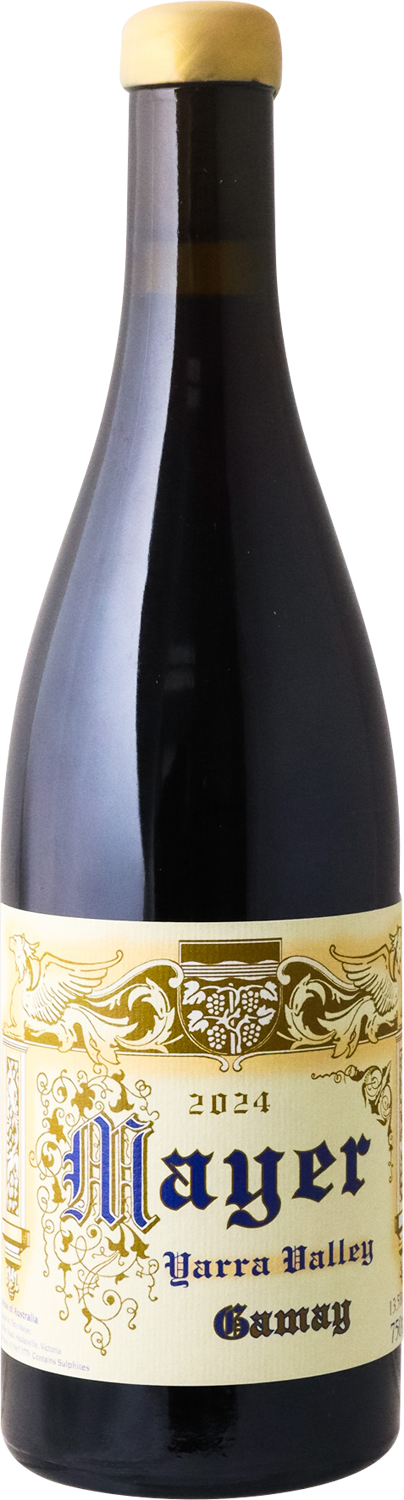 Timo Mayer - 2024 Gamay
