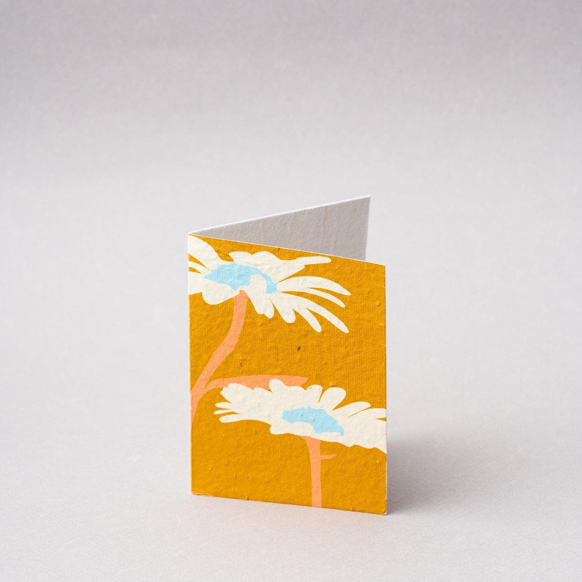 Hello Petal - Two Wildflowers Blooming Card